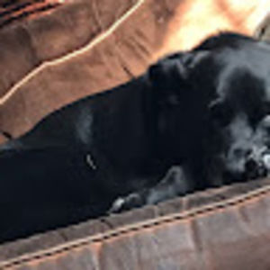 Meet your Posher, Maddy